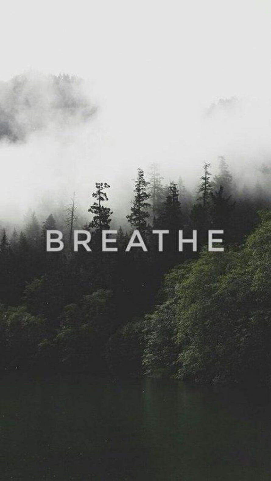 Misty Forest Lake with Breathe Text Overlay for Calm Mindfulness HD phone wallpaper