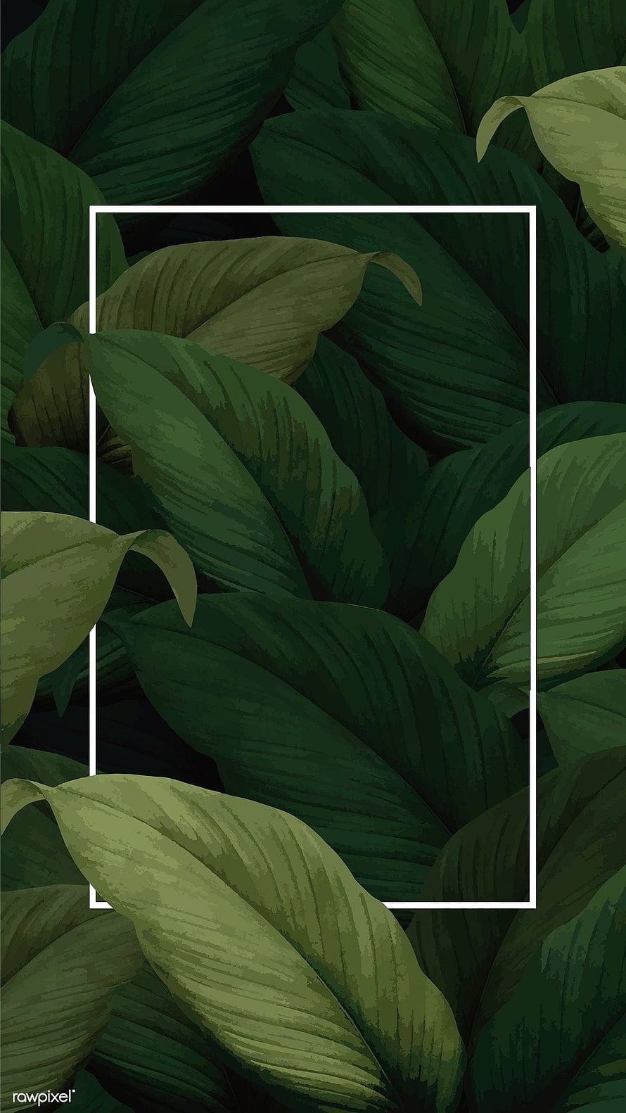 Dark Green Tropical Leaf Pattern with White Frame Overlay HD phone wallpaper