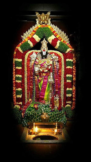 Tirupati Balaji deity adorned with vibrant flower garlands and traditional temple ornaments HD phone wallpaper