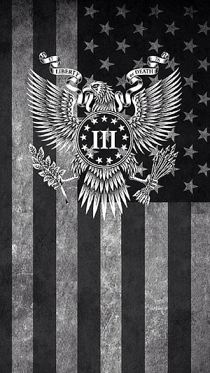 Black and White American Flag with Eagle Emblem and Liberty or Death Motto HD phone wallpaper