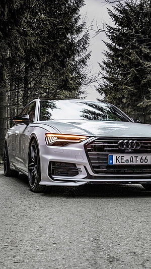 Silver Audi A8L W12 Sport Sedan Parked on Forest Road HD phone wallpaper