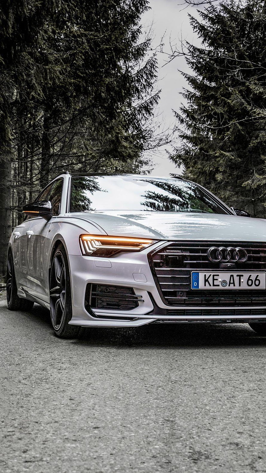Silver Audi A8L W12 Sport Sedan Parked on Forest Road HD phone wallpaper