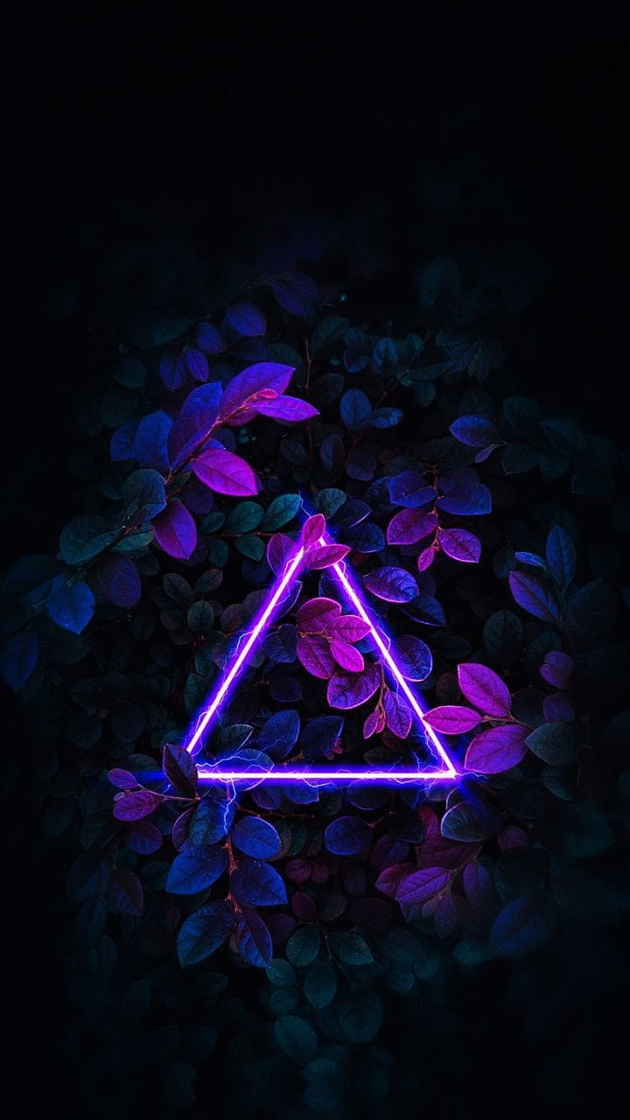Electric Purple Triangle Neon Sign Glowing Against Dark Foliage HD phone wallpaper