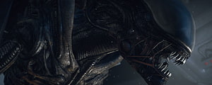 Alien Xenomorph Close-Up with Biomechanical Texture and Sharp Teeth in Dark Cinematic Lighting HD wallpaper