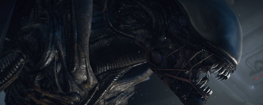 Alien Xenomorph Close-Up with Biomechanical Texture and Sharp Teeth in Dark Cinematic Lighting HD wallpaper