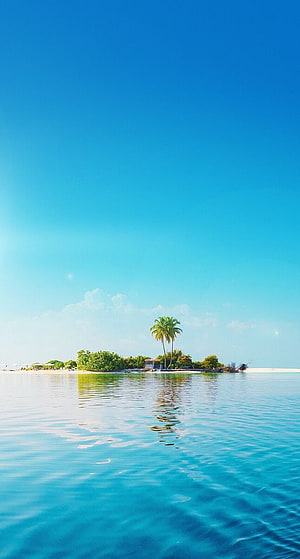 Serene tropical island with palm trees and crystal clear turquoise water under a bright blue sky HD phone wallpaper