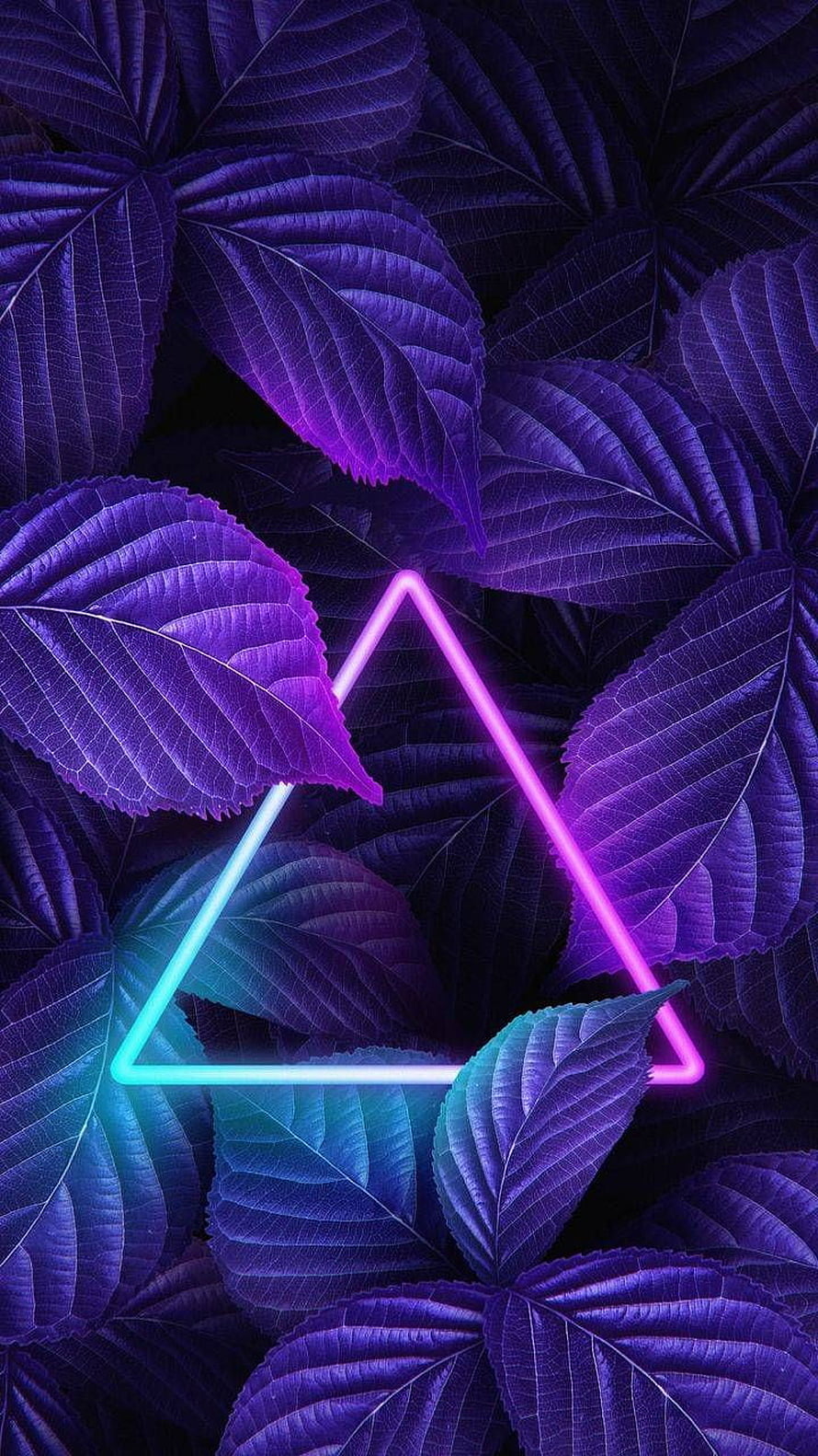 Neon Triangle Over Purple Leaves: Vibrant Nature and Light Art HD phone wallpaper
