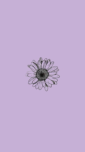 Minimalist hand-drawn daisy flower illustration on a soft lavender purple background HD phone wallpaper