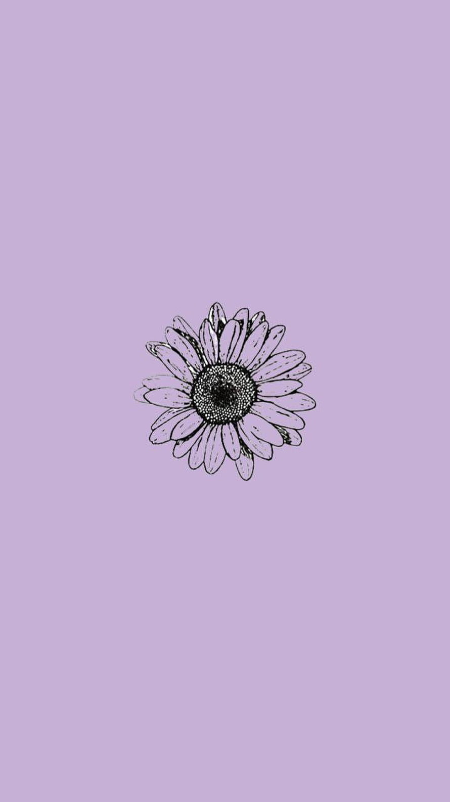 Minimalist hand-drawn daisy flower illustration on a soft lavender purple background HD phone wallpaper