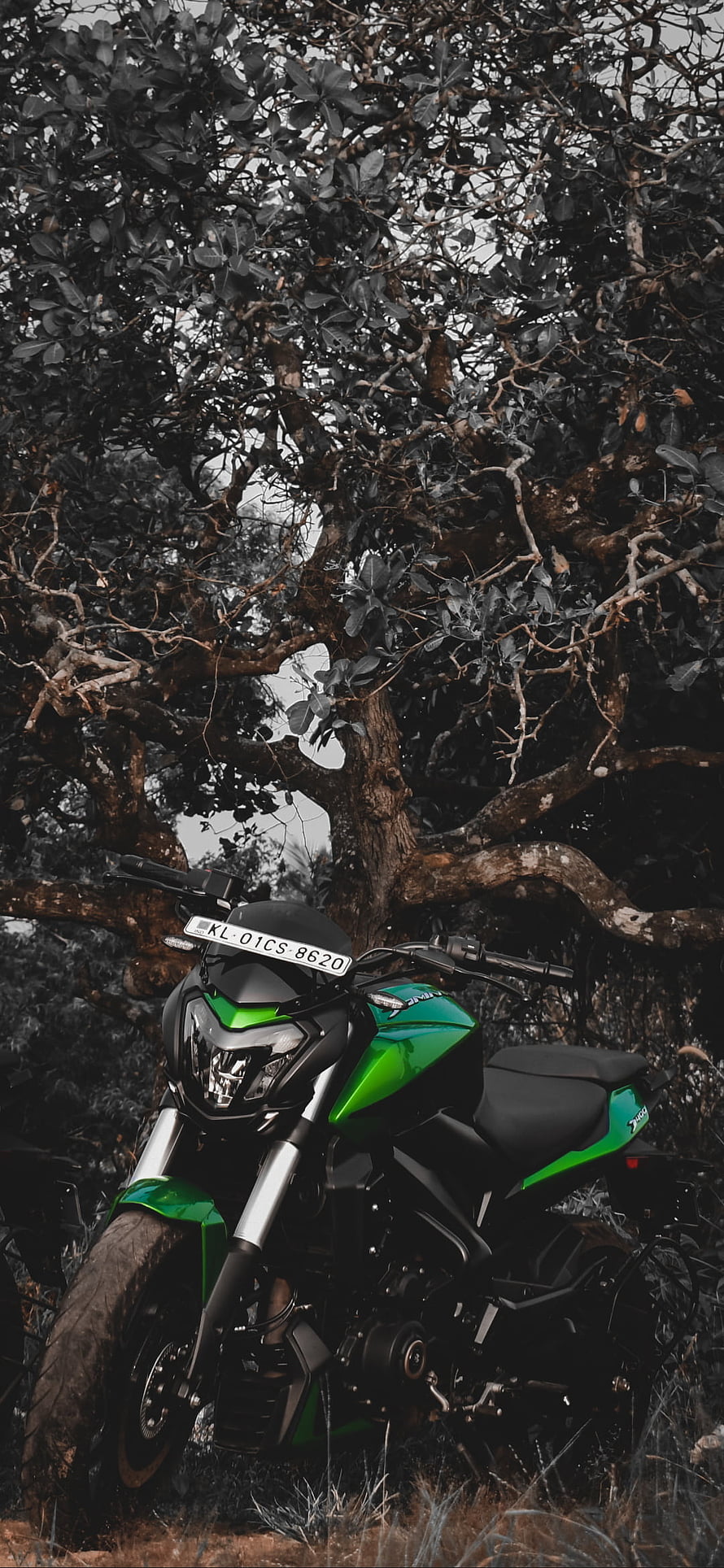 Bajaj Dominar 400 Green Motorcycle Parked Under Large Tree HD phone wallpaper