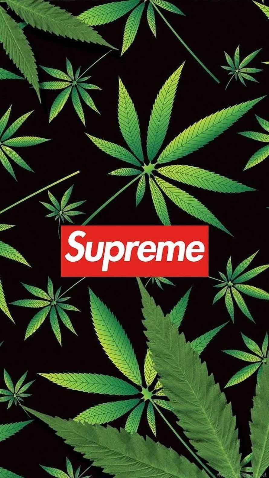 Supreme Logo on Black Background with Green Cannabis Leaf Pattern HD phone wallpaper