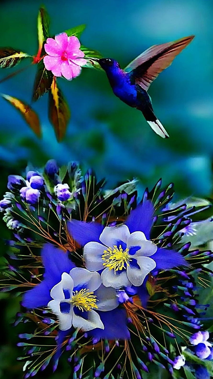 Vibrant hummingbird hovering near pink and blue flowers in a lush garden setting HD phone wallpaper