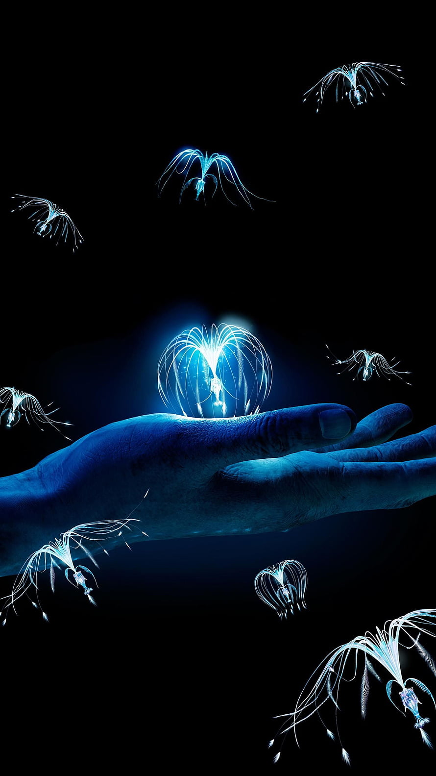 Avatar Pandora Bioluminescent Creatures Floating Above Glowing Human Hand, Avatar (2009) . Moviemania. Avatar poster, Avatar movie, Avatar tattoo, Pandora Planet HD phone wallpaper