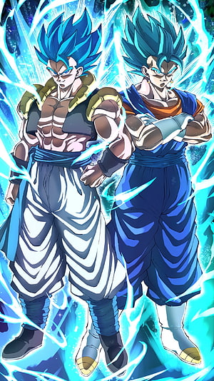 Gogeta and Vegito Super Saiyan Blue Dragon Ball Super Anime Artwork HD phone wallpaper