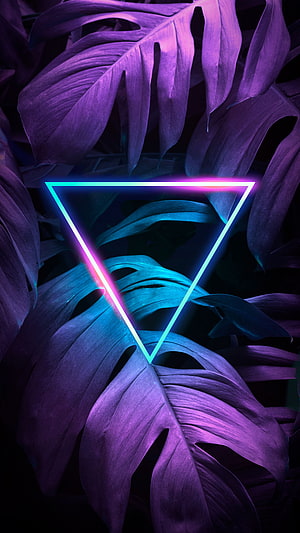 Neon Triangle Over Purple Monstera Leaves in Dark Tropical Setting HD phone wallpaper