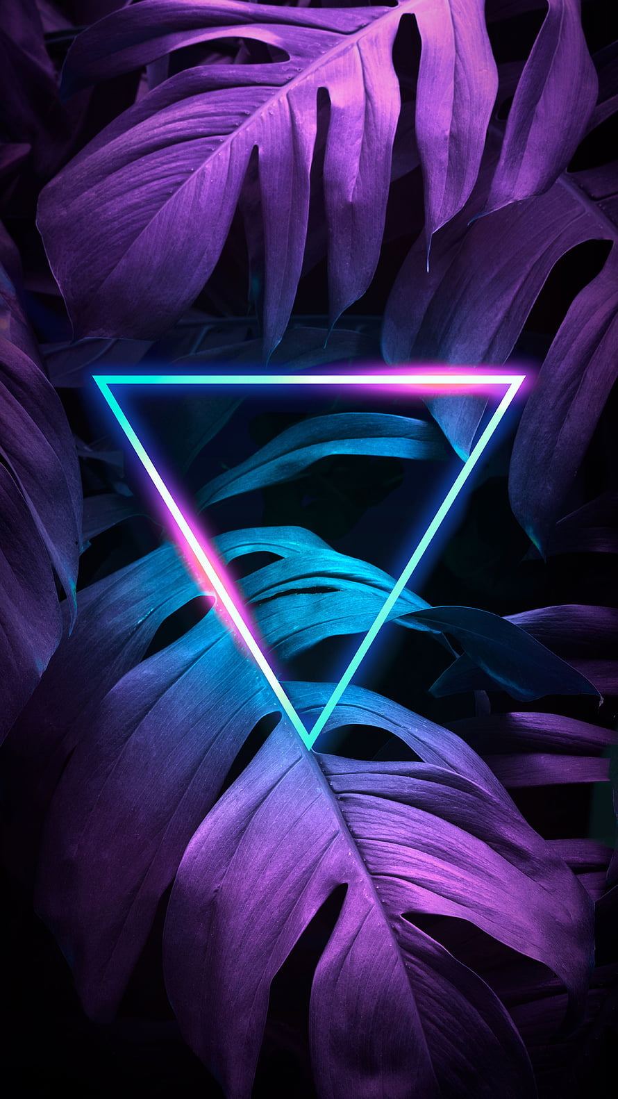 Neon Triangle Over Purple Monstera Leaves in Dark Tropical Setting HD phone wallpaper
