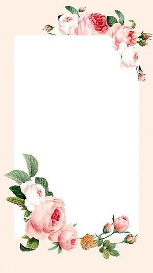 Watercolor Rose Floral Frame with Butterfly on Soft Pink Background HD phone wallpaper