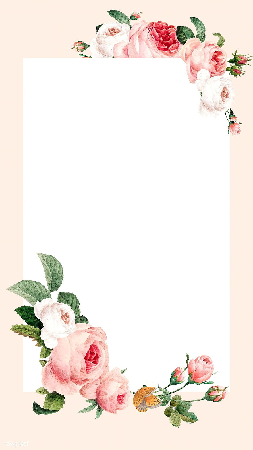 Watercolor Rose Floral Frame with Butterfly on Soft Pink Background HD phone wallpaper