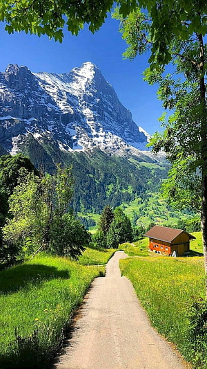 Alpine Mountain Valley with Snow-Capped Peak and Rustic Barn HD phone wallpaper