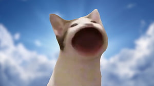 Screaming Cat Meme Against Blue Sky With Fluffy White Clouds HD wallpaper