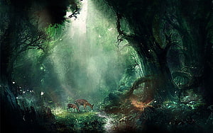 Mystical Forest Clearing With Grazing Deer And Sunbeams HD wallpaper