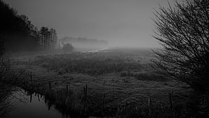Moody Black and White Landscape of a Misty Marshland with Bare Trees and a Quiet Stream HD wallpaper