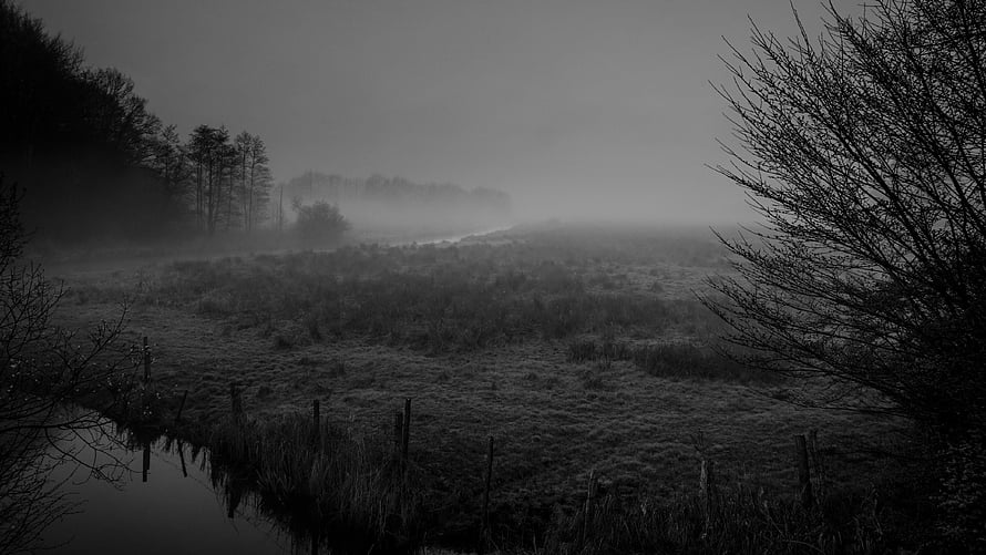 Moody Black and White Landscape of a Misty Marshland with Bare Trees and a Quiet Stream HD wallpaper