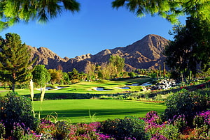 Lush Golf Course Fairway Framed by Desert Mountains and Vibrant Wildflowers HD wallpaper