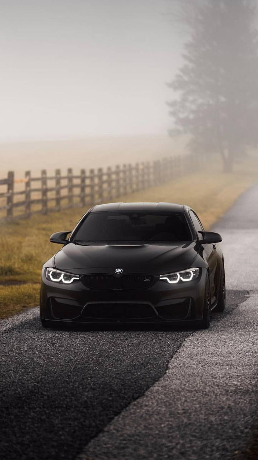 Black BMW M4 Coupe on a Misty Country Road with Wooden Fence and Autumn Fields HD phone wallpaper