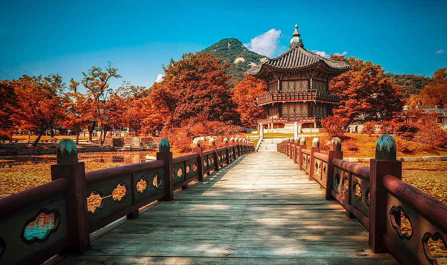 Traditional Korean Pavilion and Wooden Bridge in Autumn Foliage HD wallpaper