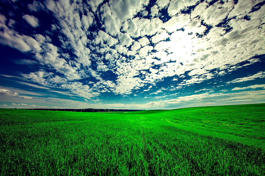 Vast Green Meadow Under a Dramatic Sky With Scattered Cumulus Clouds HD wallpaper