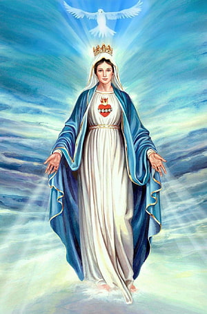 Virgin Mary Religious Artwork With Sacred Heart And Dove HD phone wallpaper