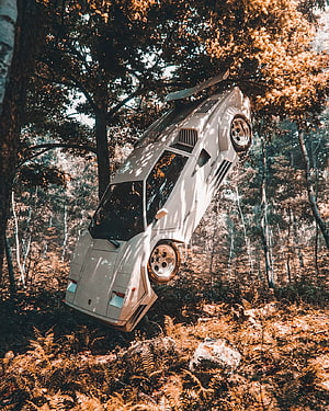 Lamborghini Countach wedged in forest canopy with autumn foliage and dappled light HD phone wallpaper
