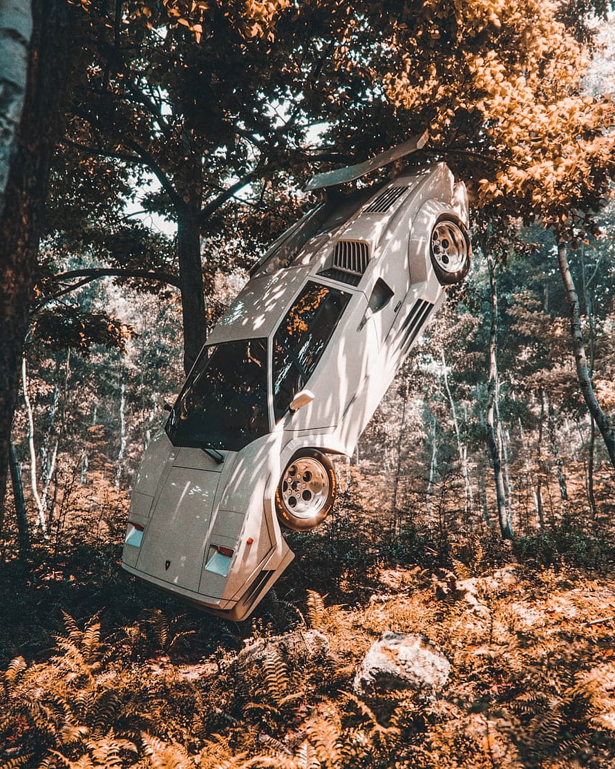 Lamborghini Countach wedged in forest canopy with autumn foliage and dappled light HD phone wallpaper