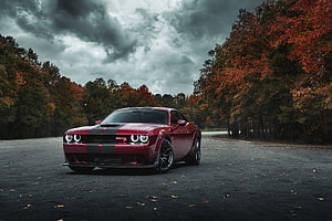 Red Dodge Challenger SRT Hellcat Muscle Car on a Forest Road Under Stormy Autumn Sky HD wallpaper