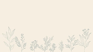 Minimalist Botanical Line Art with Delicate Wildflowers on Cream Background HD wallpaper