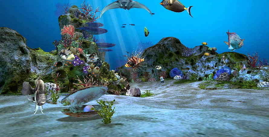 Vibrant Underwater Coral Reef Scene With Colorful Tropical Fish And Marine Life HD wallpaper