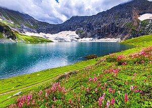 Turquoise Mountain Lake in Pakistan Surrounded by Wildflowers and Snow-Capped Peaks HD wallpaper