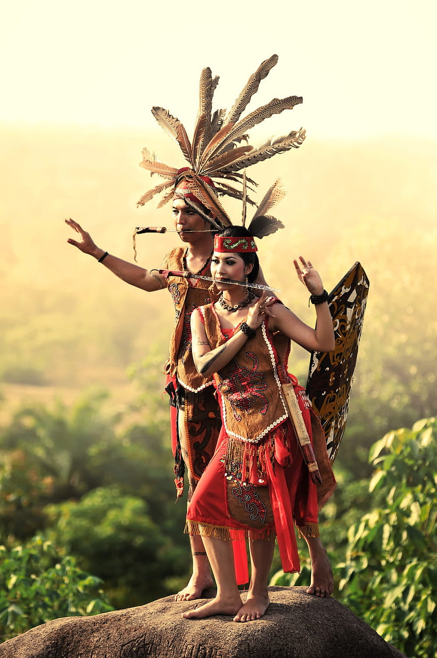 Dayak Tribal Dancers in Traditional Feathered Headdresses and Ceremonial Attire HD phone wallpaper
