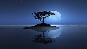 Lone Tree on Misty Island with Full Moon Reflection in Calm Night Water HD wallpaper