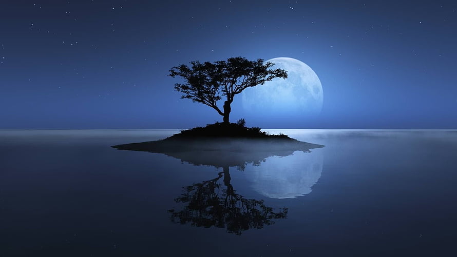 Lone Tree on Misty Island with Full Moon Reflection in Calm Night Water HD wallpaper