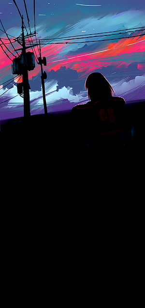 Anime Girl Silhouette Watching Vibrant Sunset Sky with Power Lines HD phone wallpaper