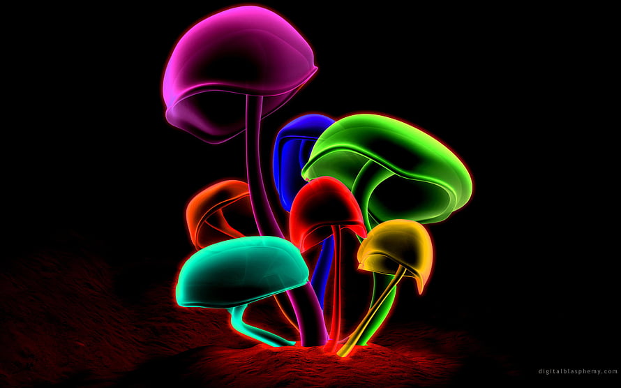 Neon Glowing 3D Mushrooms in Vibrant Colors on Black Background HD wallpaper