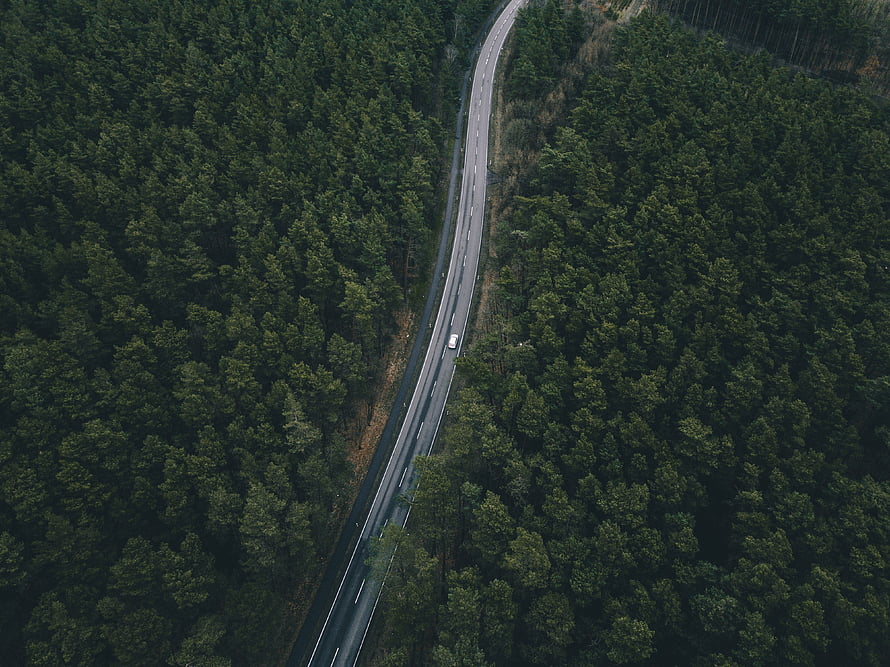 Aerial View of a Winding Highway Cutting Through a Dense Evergreen Forest Canopy HD wallpaper