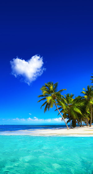 Tropical Beach With Heart-Shaped Cloud And Palm Trees Under Deep Blue Sky HD phone wallpaper