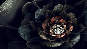 Dark Abstract Black Flower with Iridescent Petals and Deep Crimson Center HD wallpaper