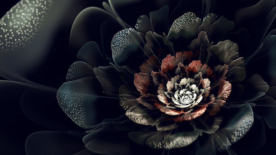 Dark Abstract Black Flower with Iridescent Petals and Deep Crimson Center HD wallpaper