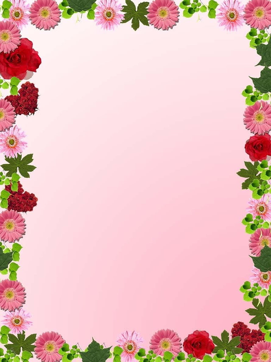 Pink Gerbera and Rose Floral Frame with Green Leaves on Soft Pink Background HD phone wallpaper