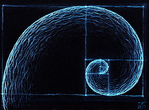 Glowing Blue Fibonacci Spiral and Golden Ratio Geometry on Black Background HD wallpaper
