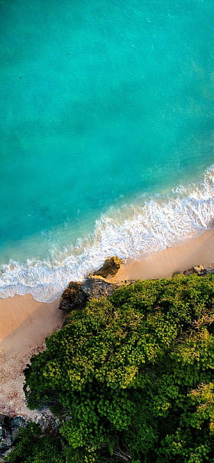 Aerial View of Turquoise Ocean Waves Lapping Against a Sandy Beach and Lush Green Foliage HD phone wallpaper